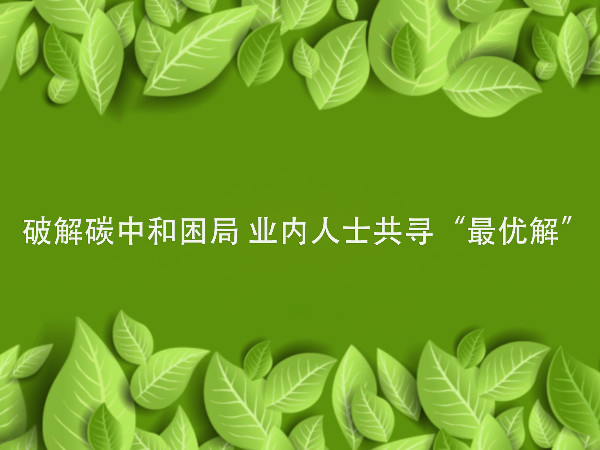 破解碳中和困局 業內人士共尋“最優解”