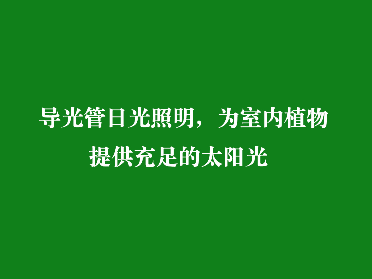 導光管日光照明，為室內植物提供充足的太陽光